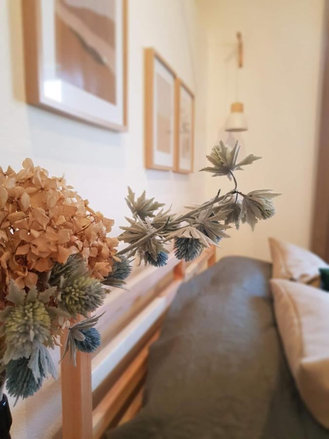 Quintinha Do Sal - Casa Das Flores アルカセル・ド・サル エクステリア 写真